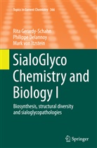 Philipp Delannoy, Philippe Delannoy, Rit Gerardy-Schahn, Rita Gerardy-Schahn, Mark von Itzstein, von Itzste... - SialoGlyco Chemistry and Biology I