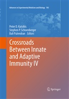 Peter D. Katsikis, Stephe P Schoenberger, Stephen P Schoenberger, Bali Pulendran, Stephen P. Schoenberger - Crossroads Between Innate and Adaptive Immunity IV