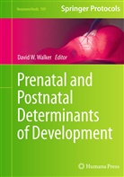 Davi W Walker, David W Walker, David W. Walker - Prenatal and Postnatal Determinants of Development