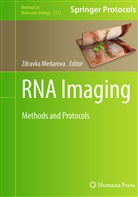 Zdravk Medarova, Zdravka Medarova - RNA Imaging