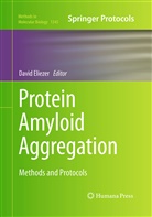 Davi Eliezer, David Eliezer - Protein Amyloid Aggregation