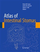 James M. Church, Victor W. Fazio, Jame M Church, James M Church, James S Wu, James S. Wu - Atlas of Intestinal Stomas