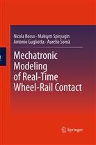 Nicol Bosso, Nicola Bosso, Antonio Gugliotta, Aurelio Somà, Maksy Spiryagin, Maksym Spiryagin - Mechatronic Modeling of Real-Time Wheel-Rail Contact