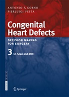 Antonio Corno, Antonio F Corno, Antonio F. Corno, Gigi P. Festa, Pierluigi Festa - Congenital Heart Defects. Decision Making for Surgery