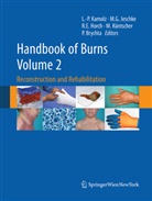 Pavel Brychta, Raymund E Horch et al, Mar G Jeschke, Marc G Jeschke, Raymund E. Horch, Marc G. Jeschke... - Handbook of Burns Volume 2