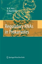 Wolfgang R. Hess, Anita Marchfelder, Hess, Hess, Wolfgang Hess, Anit Marchfelder... - Regulatory RNAs in Prokaryotes