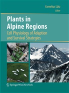Corneliu Lütz, Cornelius Lütz - Plants in Alpine Regions