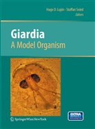 Hug D Lujan, Hugo D Lujan, Hugo D. Lujan, Hugo D. Luján, Svärd, Svärd... - Giardia