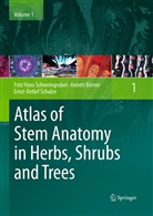 Annet Börner, Annett Börner, Schulze, Ernst-Detlef Schulze, Fritz H. Schweingruber, Fritz Han Schweingruber... - Atlas of Stem Anatomy in Herbs, Shrubs and Trees
