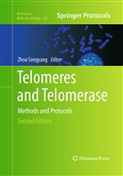 Zho Songyang, Zhou Songyang - Telomeres and Telomerase