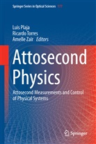 Luis Plaja, Ricard Torres, Ricardo Torres, Amelle Zaïr - Attosecond Physics