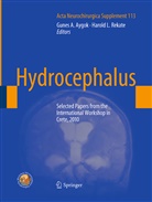 Gune A Aygok, Gunes A Aygok, Gunes A. Aygok, L Rekate, L Rekate, Harold L. Rekate - Hydrocephalus