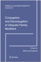Marcu Groettrup, Marcus Groettrup - Conjugation and Deconjugation of Ubiquitin Family Modifiers