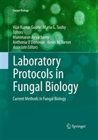 Manimaran Ayyachamy, Manimaran Ayyachamy et al, Mari G Tuohy, Maria G Tuohy, Vijai Kumar Gupta, Anthonia O’Donovan... - Laboratory Protocols in Fungal Biology
