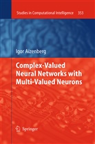 Igor Aizenberg - Complex-Valued Neural Networks with Multi-Valued Neurons