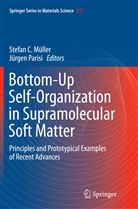 Stefa C Müller, Stefan C Müller, Stefan C. Müller, Parisi, Parisi, Jürgen Parisi - Bottom-Up Self-Organization in Supramolecular Soft Matter