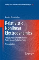 Hamlet K. Avetissian, Hamlet Karo Avetissian - Relativistic Nonlinear Electrodynamics