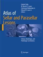Beatriz S Lopes, M Beatriz S Lopes, Edward R. Laws, Jr Laws, Edward R. Laws Jr., M. Beatriz S. Lopes... - Atlas of Sellar and Parasellar Lesions