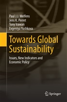 Tony Irawan, Tony et a Irawan, Jens Perret, Jens K Perret, Jens K. Perret, Paul J Welfens... - Towards Global Sustainability