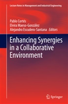 Pablo Cortés, Alejandro Escudero-Santana, Elvir Maeso-González, Elvira Maeso-González - Enhancing Synergies in a Collaborative Environment