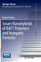 Bastian Ebeling - Smart Nanohybrids of RAFT Polymers and Inorganic Particles
