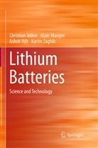 Christia Julien, Christian Julien, Alai Mauger, Alain Mauger, Ashok Vijh, Ashok et al Vijh... - Lithium Batteries