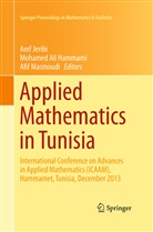 Mohame Ali Hammami, Mohamed Ali Hammami, Mohamed Ali Hammami, Aref Jeribi, Afif Masmoudi - Applied Mathematics in Tunisia