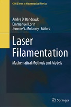 Andre D. Bandrauk, Emmanue Lorin, Emmanuel Lorin, Jerome V. Moloney, Jerome V Moloney - Laser Filamentation