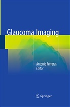 Antoni Ferreras, Antonio Ferreras - Glaucoma Imaging