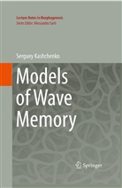 Serguey Kashchenko - Models of Wave Memory
