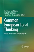 Hermann-Josef Blanke, Pedr Cruz Villalón, Pedro Cruz Villalón, Tonio Klein, Tonio Klein et al, Pedro Cruz Villalón... - Common European Legal Thinking