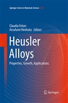Claudi Felser, Claudia Felser, Hirohata, Hirohata, Atsufumi Hirohata - Heusler Alloys