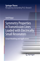 Jordi Naqui - Symmetry Properties in Transmission Lines Loaded with Electrically Small Resonators