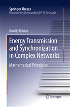 Nicolás Rubido - Energy Transmission and Synchronization in Complex Networks