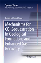 Roozbeh Khosrokhavar - Mechanisms for CO2 Sequestration in Geological Formations and Enhanced Gas Recovery