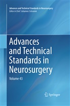 Johanne Schramm, Johannes Schramm - Advances and Technical Standards in Neurosurgery