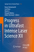 Chinese Academy of Sciences et al, Ruxin Li, Ruxin Li et al, Deepak Mathur, Didier Normand, Lui Roso... - Progress in Ultrafast Intense Laser Science XII