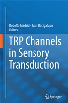 Bacigalupo, Bacigalupo, Juan Bacigalupo, Rodolf Madrid, Rodolfo Madrid - TRP Channels in Sensory Transduction