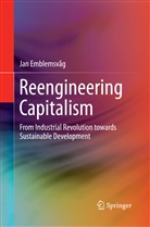 Jan Emblemsvåg - Reengineering Capitalism