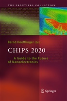Bern Hoefflinger, Bernd Hoefflinger - Chips 2020