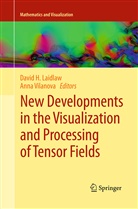 Davi H Laidlaw, David H Laidlaw, David H. Laidlaw, Vilanova, Vilanova, Anna Vilanova - New Developments in the Visualization and Processing of Tensor Fields