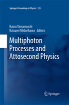 Katsumi, Katsumi, Midorikawa Katsumi, Katsumi Midorikawa, Kaor Yamanouchi, Kaoru Yamanouchi - Multiphoton Processes and Attosecond Physics