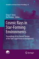 Dieg F Torres, Diego F Torres, REIMER, Reimer, Olaf Reimer, Diego F. Torres - Cosmic Rays in Star-Forming Environments