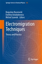 Boguslaw Buszewski, Ewelin Dziubakiewicz, Ewelina Dziubakiewicz, Michal Szumski - Electromigration Techniques