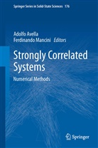 Adolf Avella, Adolfo Avella, Mancini, Mancini, Ferdinando Mancini - Strongly Correlated Systems