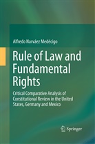 Alfredo Narv¿ Med¿go, Alfredo Narváez Medécigo - Rule of Law and Fundamental Rights
