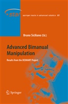 Brun Siciliano, Bruno Siciliano - Advanced Bimanual Manipulation