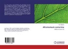 Teferi Mekonen - Aframomum corrorima