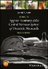 G Skerritt, G. C. Skerritt, Geoff Skerritt, Geoff (Cranmore Veterinary Services Skerritt, Skerritt Geoff - King s Applied Anatomy of the Central Nervous System of Domestic