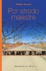 Stefano Regondi - Per strade maestre